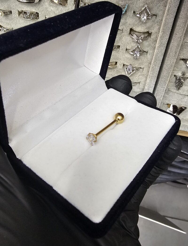 Piercing Dorado
