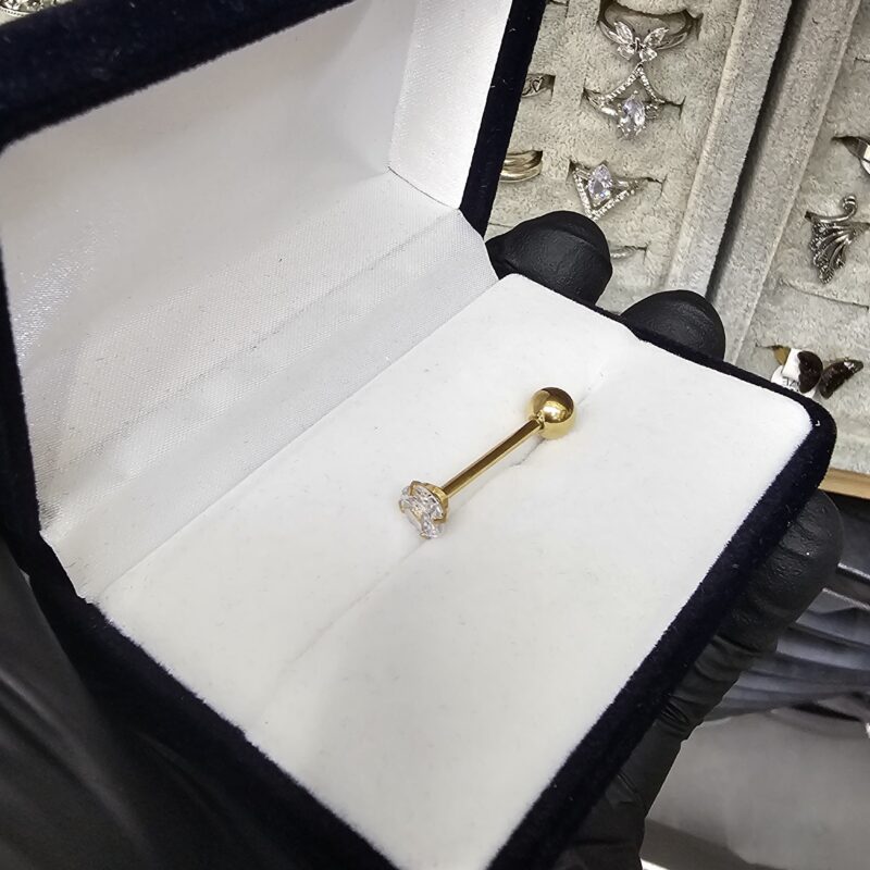 Piercing Dorado